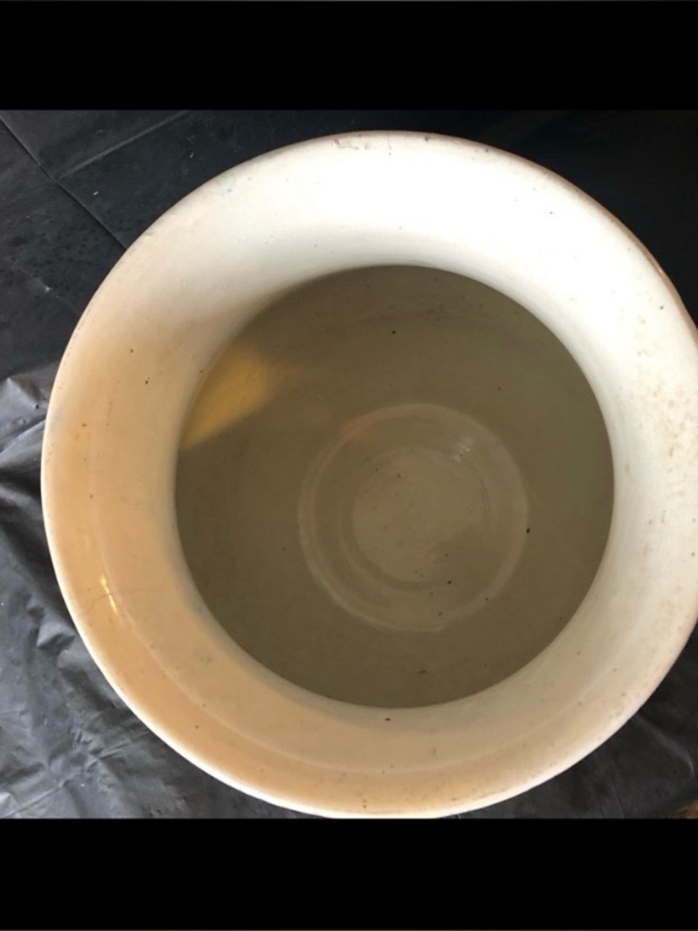 Timeless spongeware - Picture 4 of 4